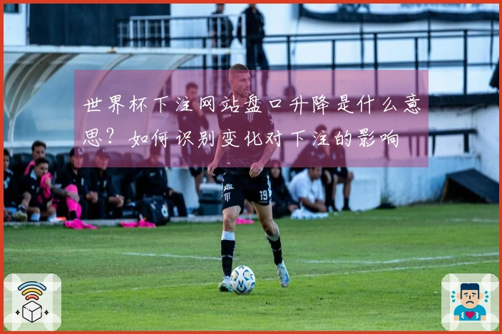 世界杯下注网站盘口升降是什么意思？如何识别变化对下注的影响