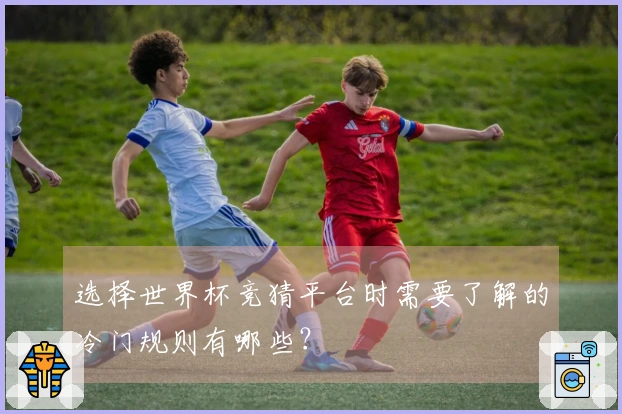 选择世界杯竞猜平台时需要了解的冷门规则有哪些？